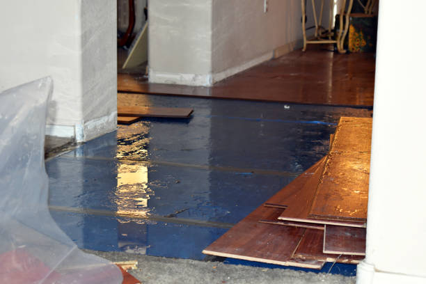Professional Flood Cleanup technician working in Plymouth, WI